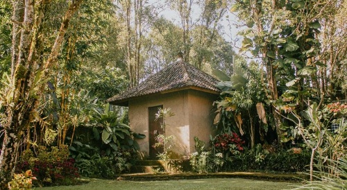 Winaposa image 18